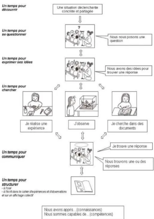 Figure 2. La démarche d’investigation en maternelle 13 . 