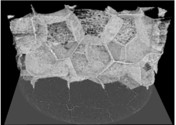 Fig. 6. Reconstruction micro tomographique d’un ensemble de parois de grains de mousse PP.