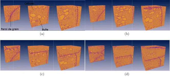 Fig. 8. Reconstruction micro tomographique d’un cube (de cot´ e 2 mm) situ´ e dans la partie basse de l’´ echantillon impact´ e.