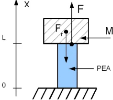 Figure 2: The Piezoelectric actuator and the load M