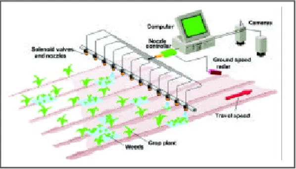 Figura 1.5:  Esquema de un pulverizador para control localizado de malezas basado en el procesamiento y análisis de imágenes (UIUC, 2005)