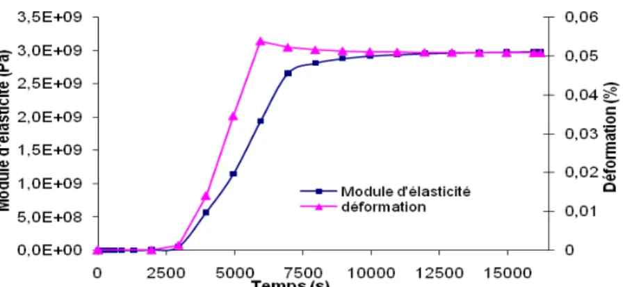 Fig. 17. Evolution du module d’élasticité et du champ de déformation au sein de la résine