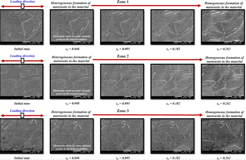 Fig. 4. Evolution of the martensitic transformation in three different zones of the tested sample during loading at room temperature.