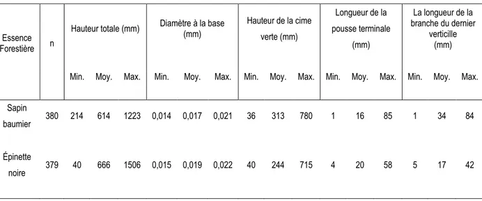 Tableau 2. Caractéristiques initiales de chaque essence forestière (sapin baumier et épinette noire)  au moment  de la coupe