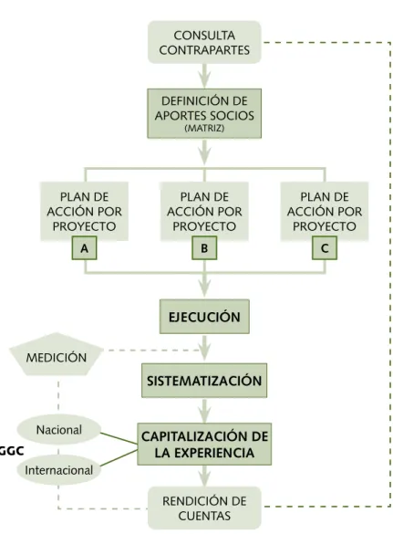 Gráfico  4.  Proceso  de  Implementación  de  la  Agenda  Nacional  de  Cooperación  Técnica del IICA Costa Rica.
