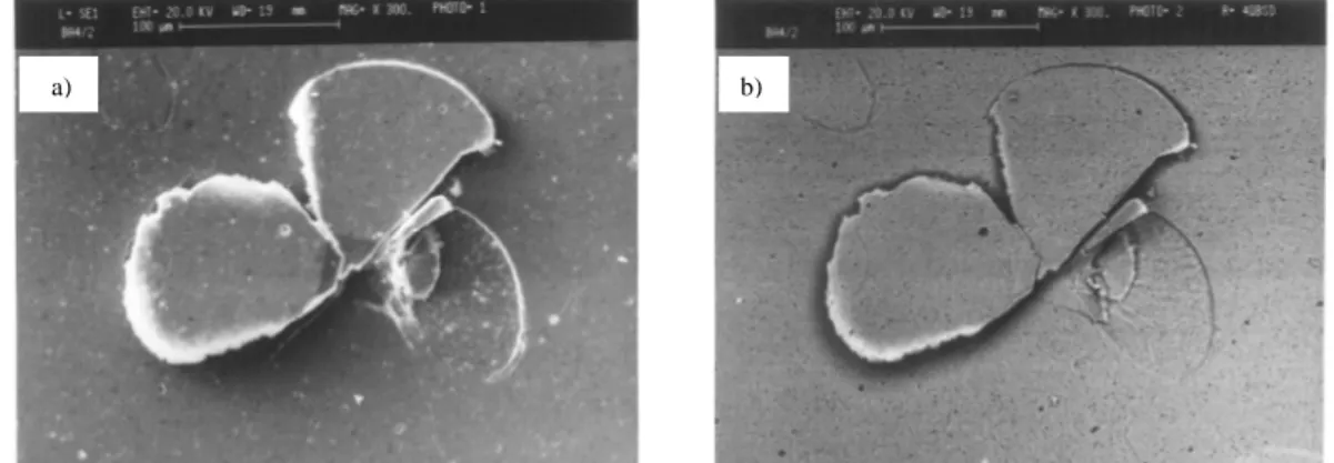 Figure 4: SEM images of two lateral cracks and one chip formed at 1000 gf a) SE mode  b) BS mode   