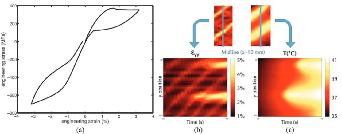 Fig. 1 : (a) Stress-strain curve of tensile-compressive test performed on Ni-Ti wire shape specimen at 28°C with a constant macro- macro-strain rate 1.1x10 -4 s -1 