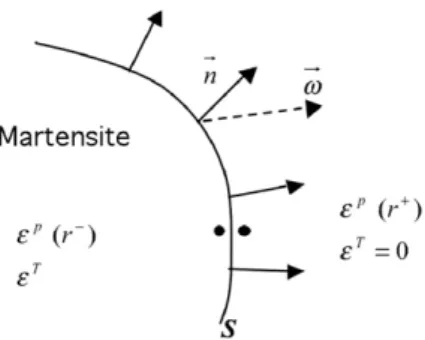 Fig. 3. Moving boundary between austenite (+) and martensite ().