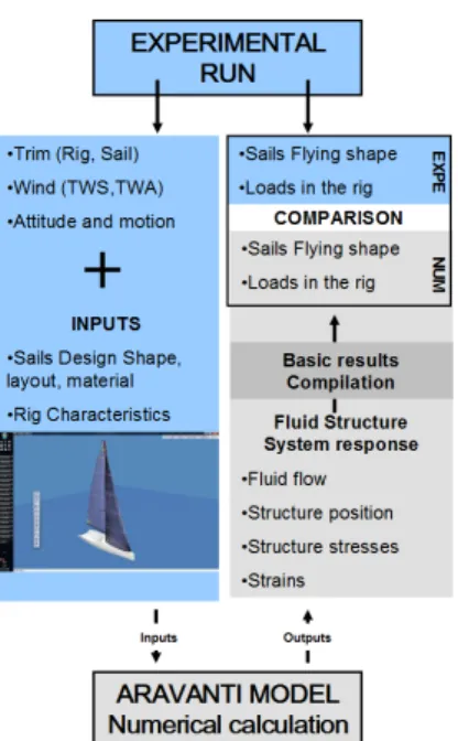 Figure 3 shows the sails geometry used in the code for the calculation. The figure also gives the name of each item of the running and standing rigging where tension is measured with the load sensors shown on figure 2.