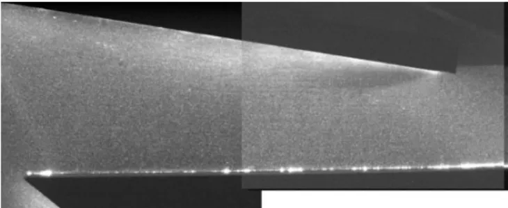 Figure  2  Seeding  of  the  blade  passage  as  seen  by  PIV  cameras with an overlapping (black parts are the walls of the  diffuser passage)