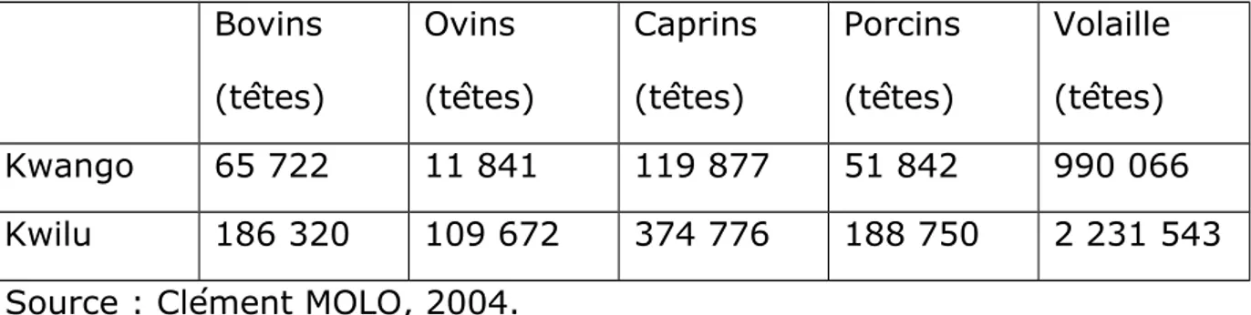 Tableau 1 . Effectifs des cheptels du Kwango en 1996 Bovins (têtes) Ovins (têtes) Caprins(têtes) Porcins(têtes) Volaille(têtes) Kwango 65 722 11 841 119 877 51 842 990 066 Kwilu 186 320 109 672 374 776 188 750 2 231 543