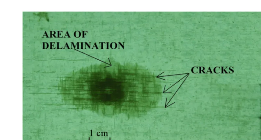Fig. 4. Delamination and matrix cracks after impact.