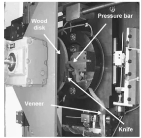 Fig. 1 Main mechanical phenomenon during the peeling process (in- (in-spired by Thibaut and Beauchêne 2004)