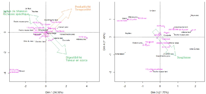 Figure 11 : Résultats de l’ACP : Représentation des individus sur les plans et 1-2 et 3-4 avec  les variables qualitatives supplémentaires en rose 