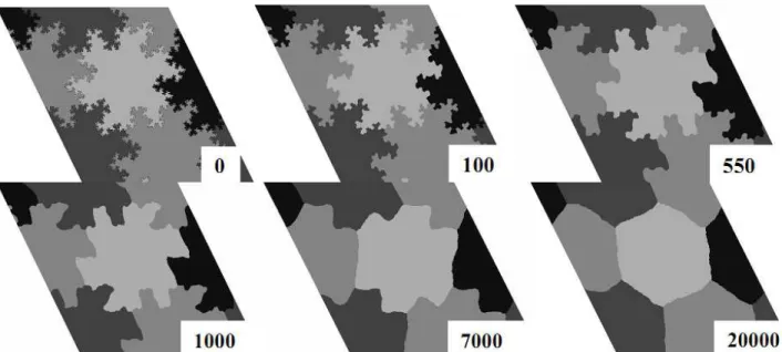 Figure 4: Monte Carlo Simulation of grain boudary diffusion created with a Von Koch curve (1.5  fractal dimension, after 100, 550, 1000, 7000 and 20000 MCS
