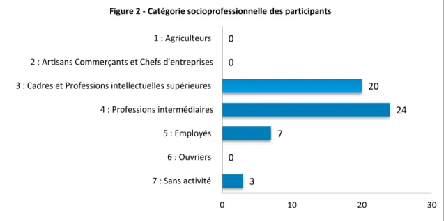 Figure 2 - Catégorie socioprofessionnelle des participants  