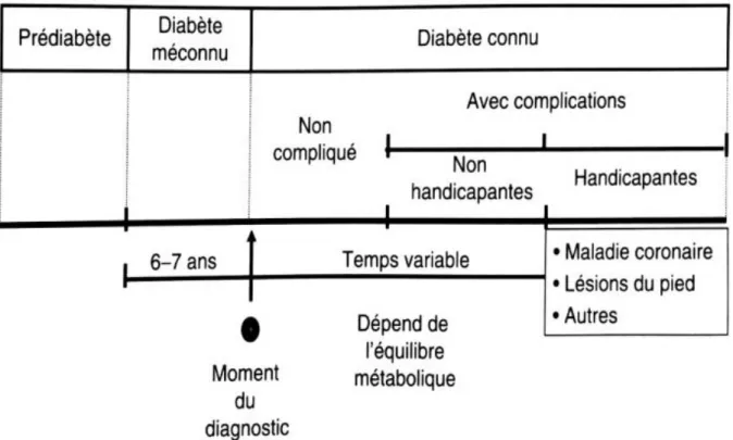 Figure 2 : Histoire naturelle du diabète de type 2 (American Diabetes Association 2013b) 