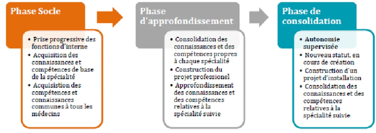 Figure 1 : Les Trois phases d’apprentissage du 3ème cycle des études de médecine générale  (10) 
