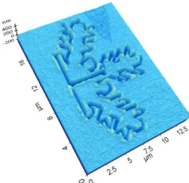 Fig. 11: SEM image of the pattern cut with AFM probe-based  machining.  