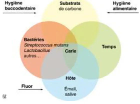 Figure 3 : Diagramme de Keyes 