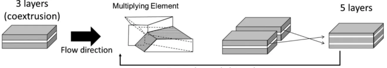 Figure 2. Schematic of the multilayer co-extrusion process.