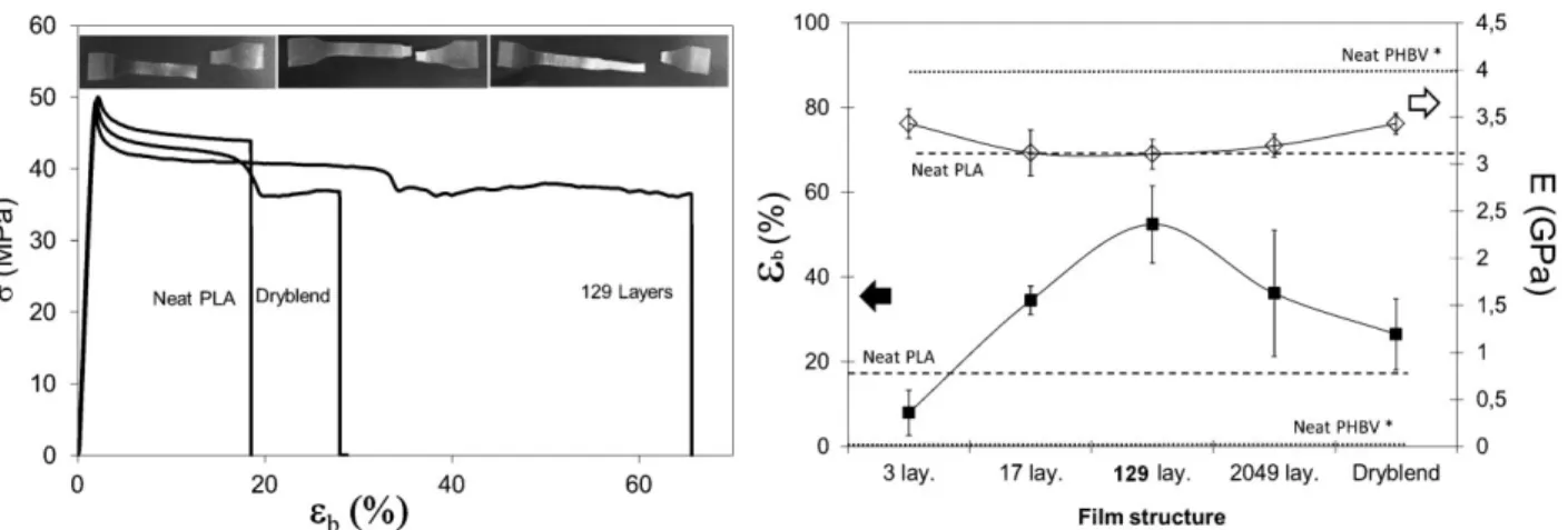 Figure 6. DSC thermograms of PLA, PHBV, and their blends (first heating run) (left) and evolution of the degree of crystallinity of PLA and PHBV in the extruded films (right).