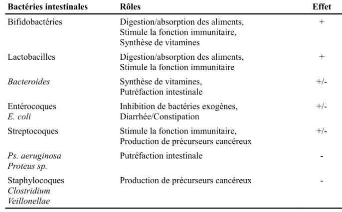 Tableau 2: Rôles des principaux groupes bactériens dans le microbiote intestinal. (d'après la  Thèse de Mélanie Gagnon : « Rôle des probiotiques lors d’infections entériques d’origine bactérienne et virale : analyses in  vitro et études in vivo chez des mo