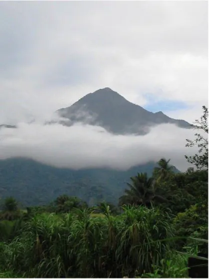 Figure 3 : Mont Cameroun 