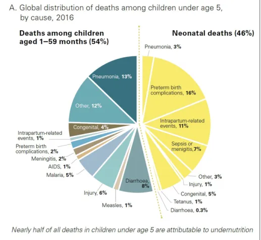 Figure 0.1 Causes globales de mortalité chez A. les enfants de moins de 5 ans et B. les nouveaux-nés, en 2016.