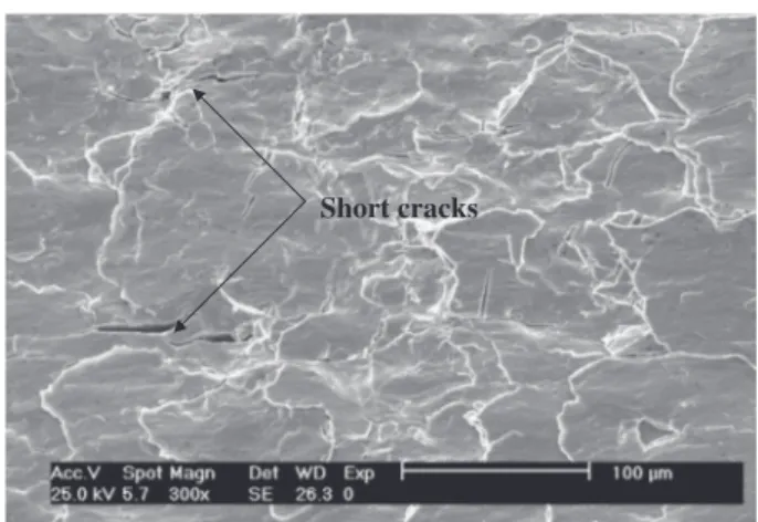 Fig. 14. Crack initiation sites of the turned and wire brush hammered sample.