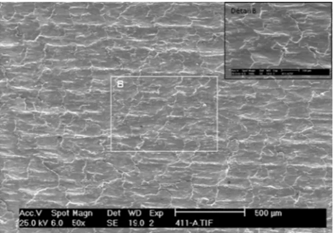 Fig. 5. Surface texture of wire brush hammered AISI 304 stainless steel.