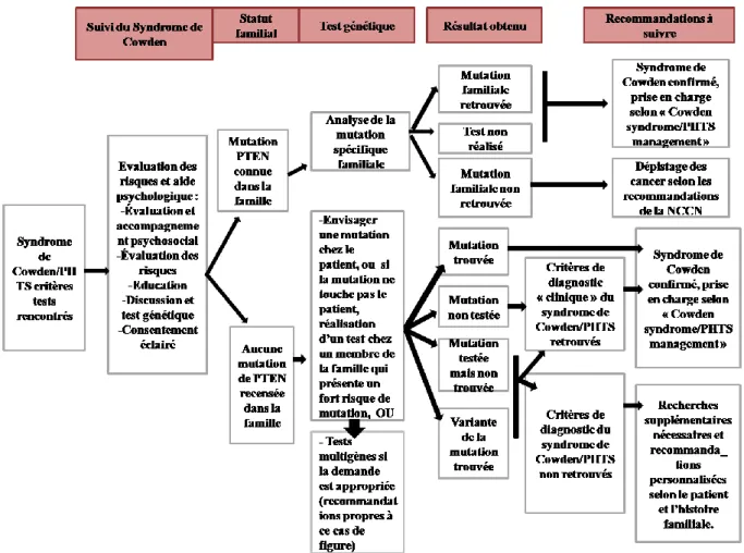 Figure 7 : Guidelines mise en place pour un patient présentant les « critères tests » au  syndrome de Cowden/PHTS