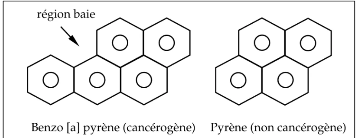 Figure 2 : Structure chimique du B[a]P (cancérogène) et du pyrène (non cancérogène) 