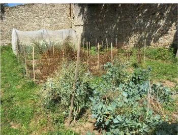 Figure 4 : Porte-graines du jardin du Laber  (Source : personnelle)