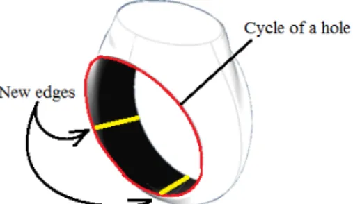 Figure 13: The ring model with surface feature: holes 