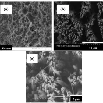 Figure 1 Top surface of the SEM image of silicon nnanostruc- nnanostruc-tures vs. cleaning protocol