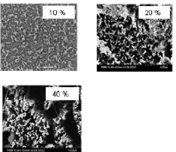 Figure 7 Top surface SEM images of Si nanostructures vs. HF  concentration. 