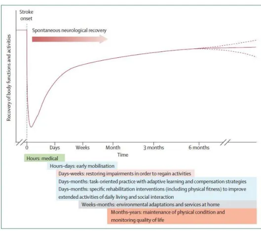Figure 2 : Pronostic de récupération après un AVC et  modalités de soins associées selon Langhorne et al