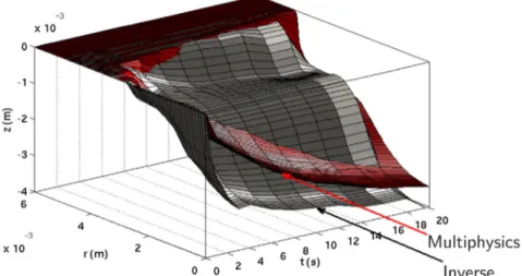 Fig. 10B is a tri-dimensional representation of the front motion after the identi ﬁ cation procedure