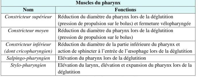 Tableau n°1 : Muscles du pharynx et leurs fonctions 