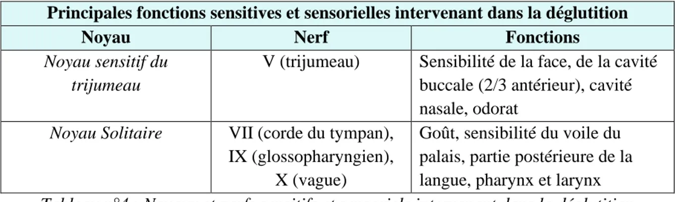 Tableau n°4 : Noyaux et nerfs sensitifs et sensoriels intervenant dans la déglutition 