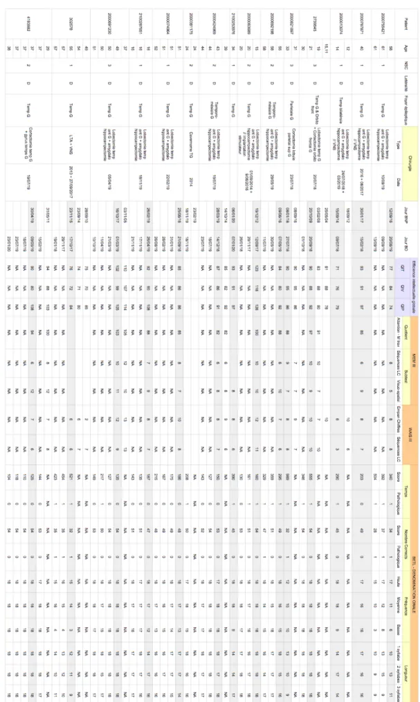 Tableau  5.  Tableau  simplifié  des  résultats  aux  épreuves  de  dénomination  orale  (BETL),  empan  de  chiffres  et  séquence  chiffres  (WAIS)  et  séquence   lettres-chiffres et empan visuo-spatial (MEM) 