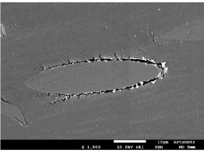 Figure 3. In-situ SEM observation of a PA66/GF30 sample subjected to flexural load.