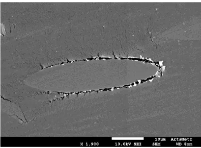 Figure 3. In-situ SEM observation of a PA66/GF30 sample subjected to flexural load.
