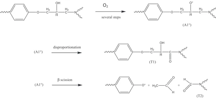 Fig. 4. Possible routes for the formation of tertiary amides, absorbing at 1658 cm −1 , common to both systems.