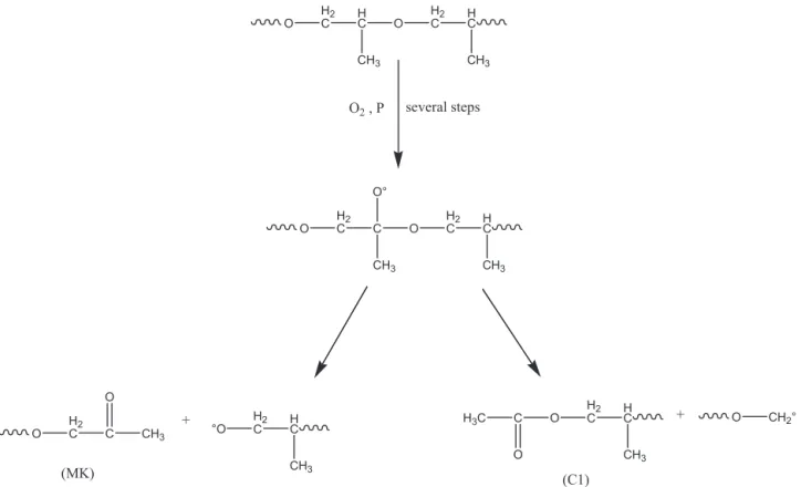 Fig. 7. Possible route for acetate formation in POPA networks.