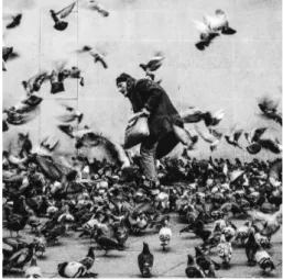 Figure 01 : photo illustrant notre place en  tant  qu’humain  au  sein  de  la  «  faune  »  urbaine, représentée ici par des pigeons  communs (crédit : Alexandre Chambon).