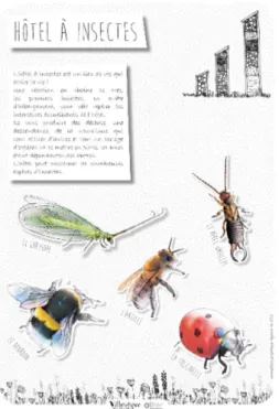 Figure  02  :  exemple  de  flyer  informatif  à destination des habitants, sur un  hôtel à insectes et ses caractéristiques  (Agence Résonance pour la commune de  Villevêque).