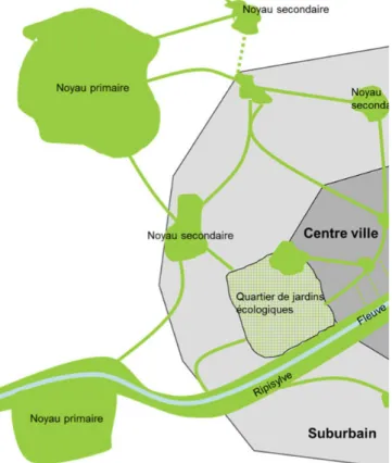 Figure 05 : schématisation de la trame verte urbaine et de ses  liaisons  avec  les  zones  urbanisés  (liaison  ville-campagne)  selon P