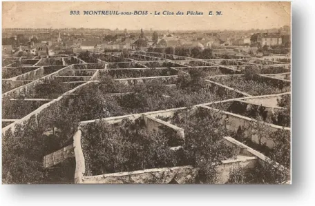 Figure 8 : Carte postal représentant les murs de Montreuil, réalisation Wikipédia 